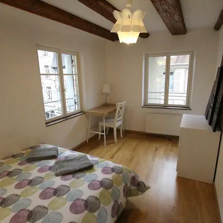 Colmar Historic Center - Alsacian Appartement Petite Venise 2 - Bookingalsace Exterior foto